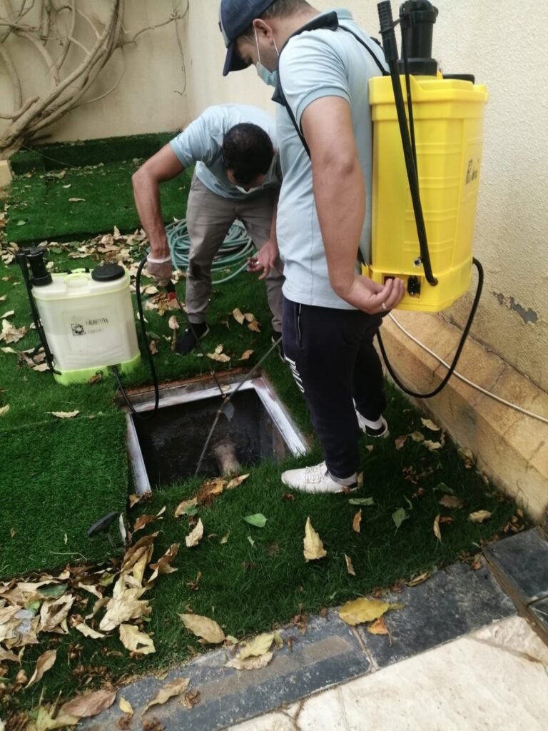 شركة مكافحة حشرات بجده _ رش النمل الابيض