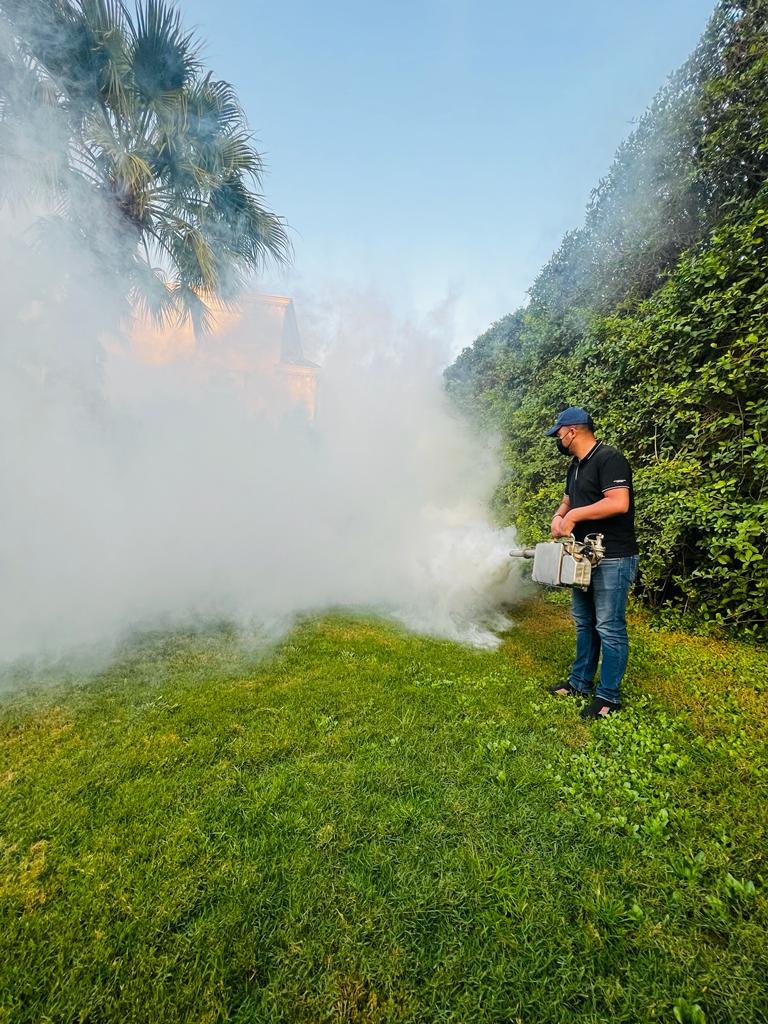 شركة مكافحة حشرات _ مكافحة الناموس