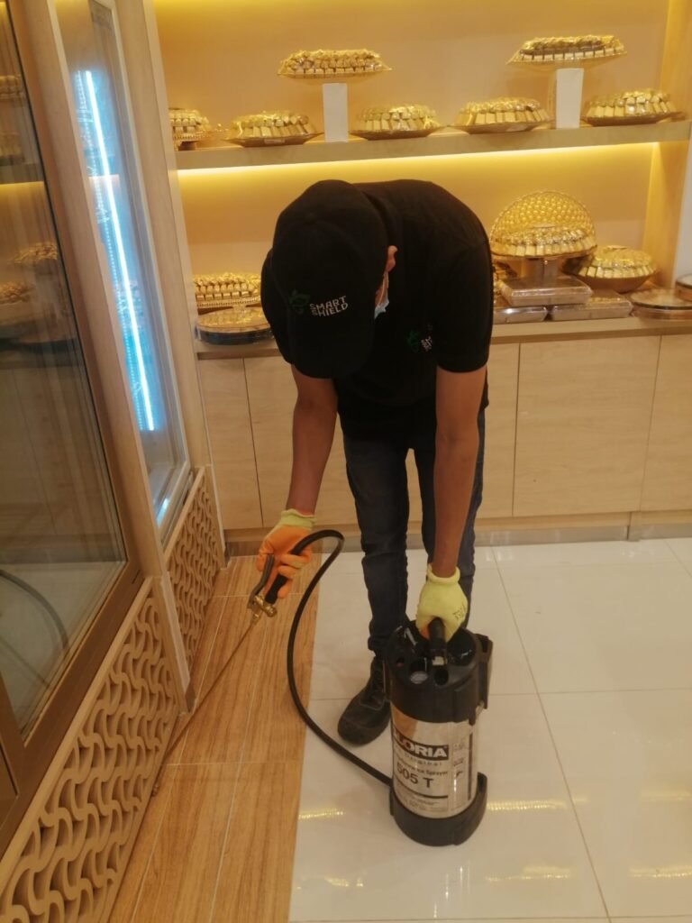 رش النمل الابيض بالرياض 0555636294