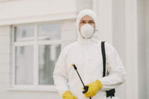 شركة مكافحة حشرات بمكة