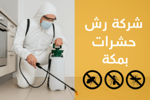 شركة مكافحة البق بمكة