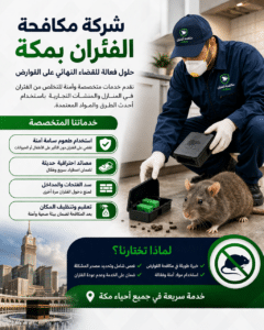 شركة مكافحة الفئران بمكة